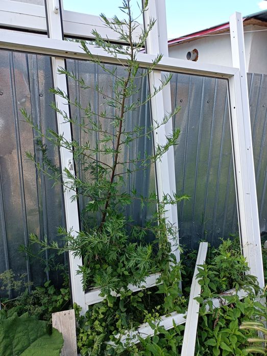 Schelet din tâmplărie PVC .