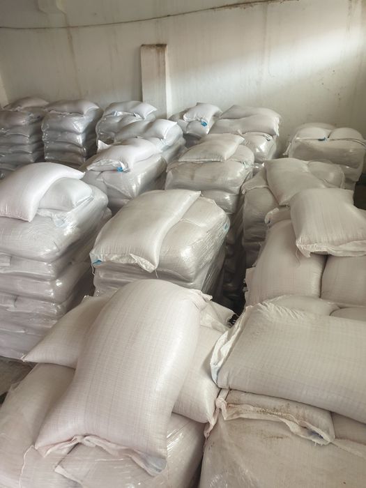 Samanta grau orz triticale
