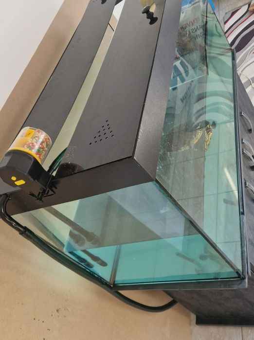 Acvariu broasca țestoasă