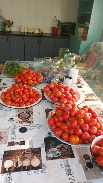 Продам дачу район Келешек