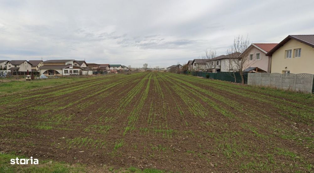 Teren Extravilan Padurea Craiului la intrarea in Com. Berceni | 3200mp