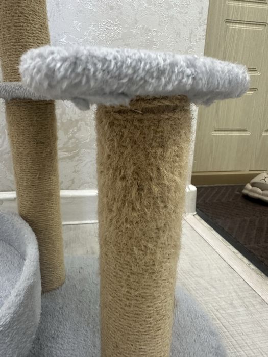Когтеточка для котеек