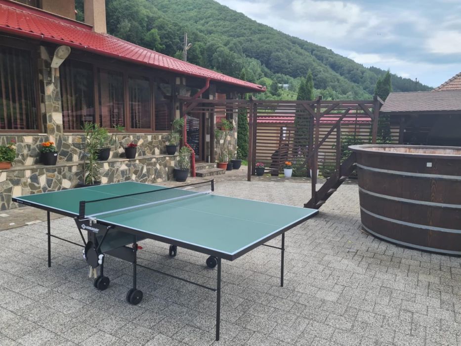 Vilă de închiriat la munte