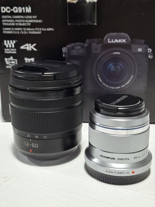 Panasonic Lumix G91 (G90/G95)