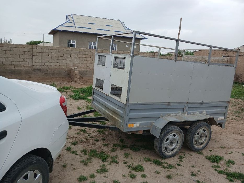 Moshina uchun tilichka