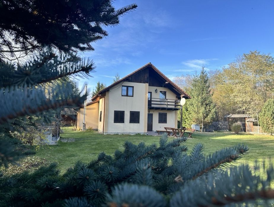 Cabana Pormbacu de Sus ofertă de Revelion 8000 RON 3 nopți