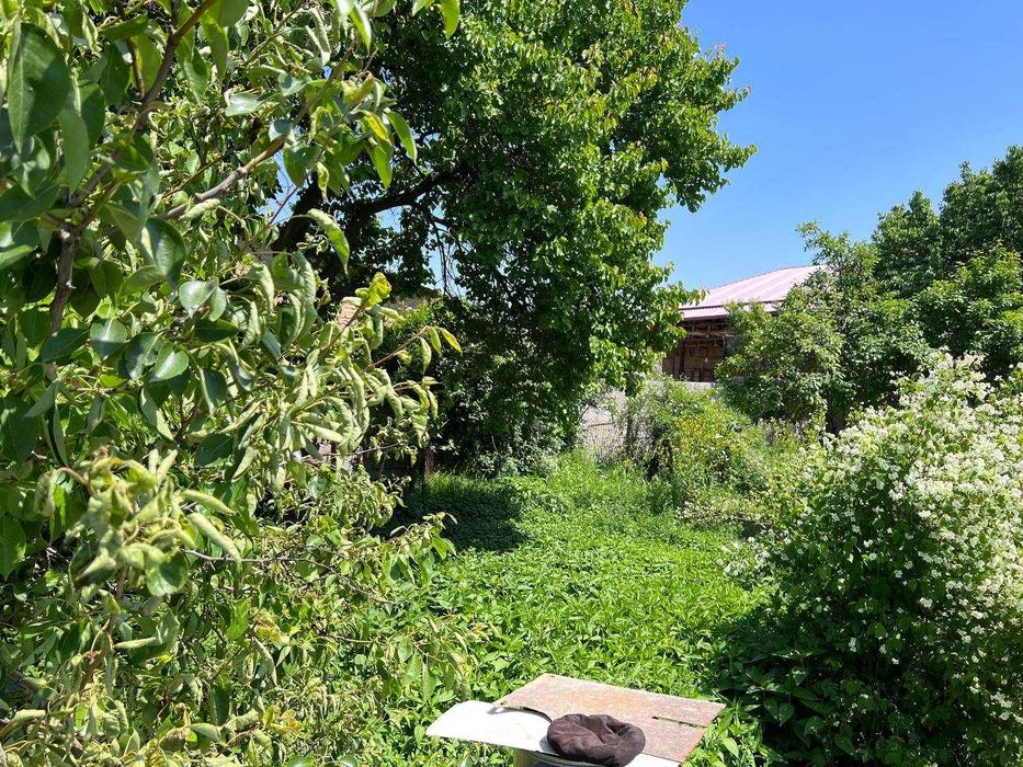 Продается дача 12 соток Ташморе (Пскент)