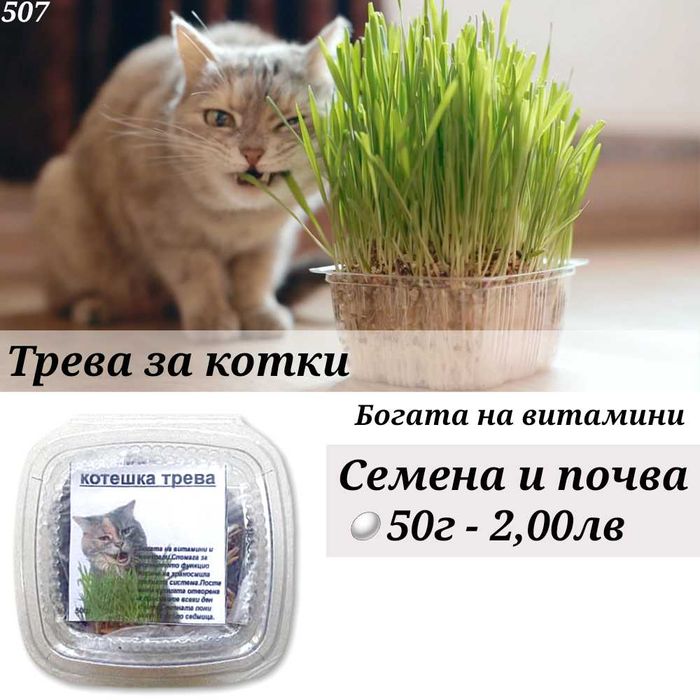 Драскало за котка. Играчки лакомсва трева. Затворена котешка тоалетна