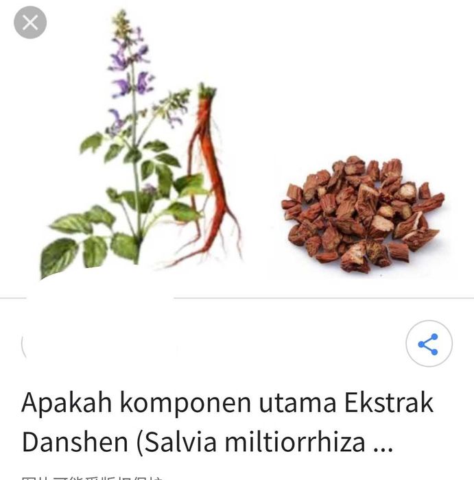 Astragalus  diabet，cardiovascular，tensiune ，tromboza