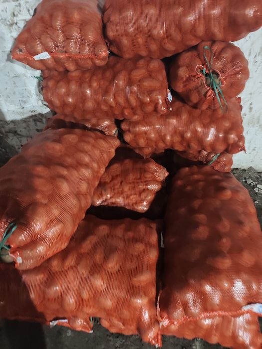 Картофель местный