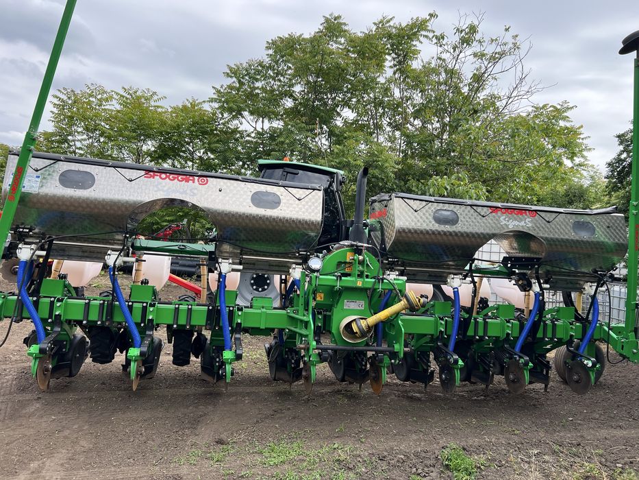 Semanatoare  prasitoare sfoggia