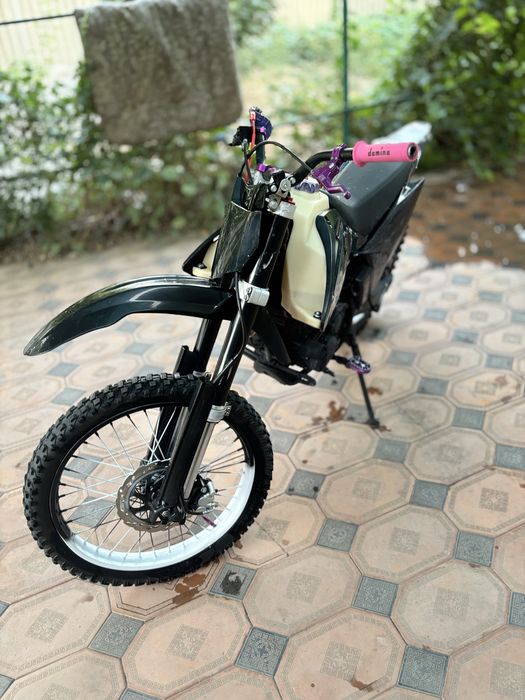 Progasi palma 300