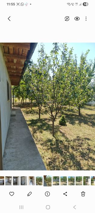 Casa de vanzare -Odaia Manolache Galati