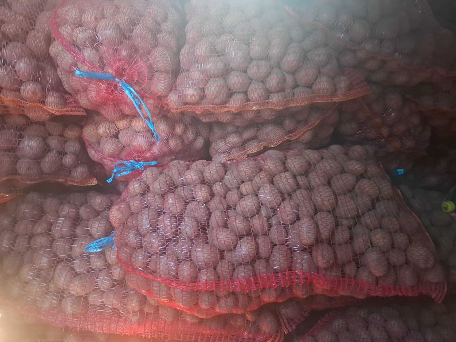 Cartofi sămânță alb și roșu aduce domiciliu clientul 07#58#45#89#58