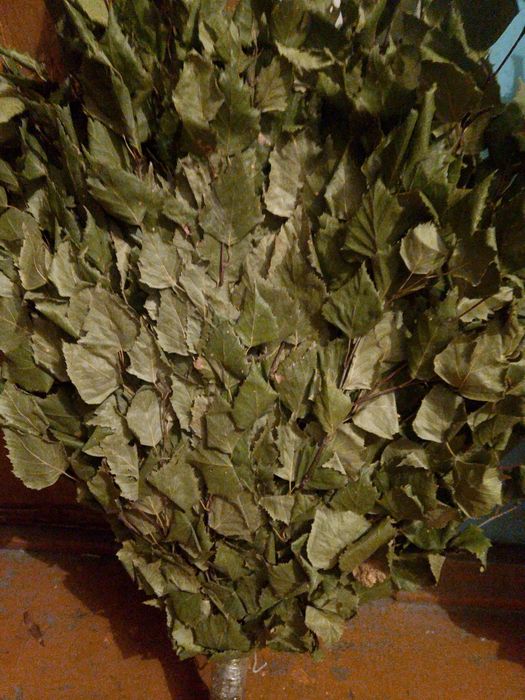 Продам берёзовые веники