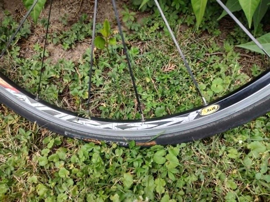 set roata bicicleta Mavik Ksyrium