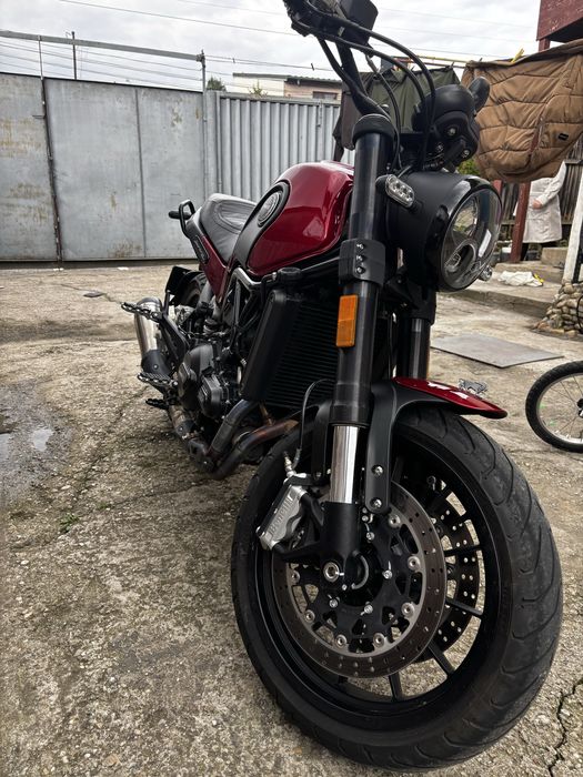 Benelli leoncino