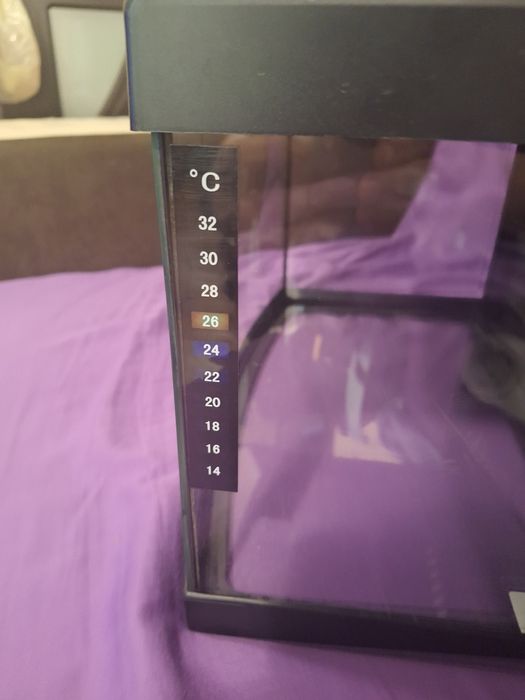 Аквариум Diversa + всичко необходимо