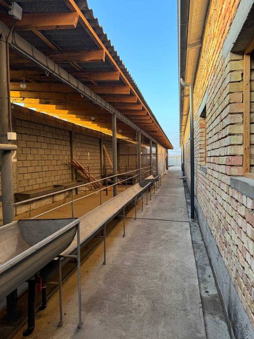 Продаётся Ферма 40 Соток Здания 1790 Зангиота Буз Сув Ор.Кафе Ором