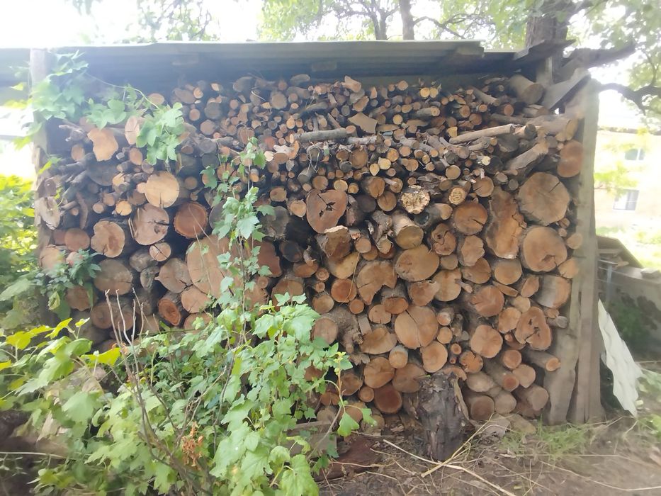 Дрова для шашлыка