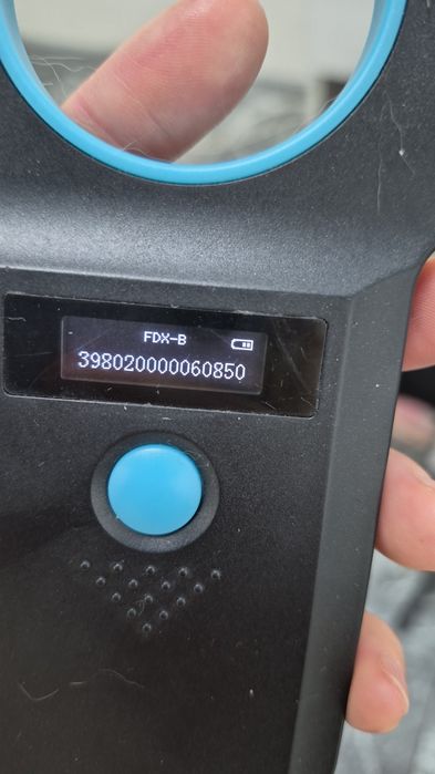 Кот пушистый Ромео