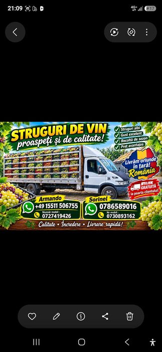 Struguri de vin