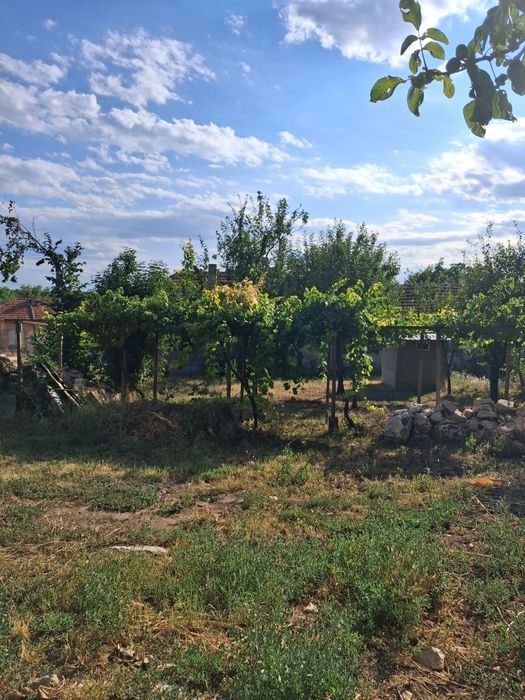 Продава се Парцел в с. Тодорово, Област Плевен - 500 кв.м за 41 €/кв.м - Снимка #3