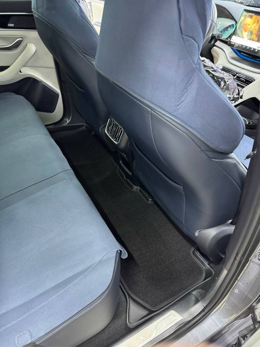 BYD SONG va CHAMPION salon polik