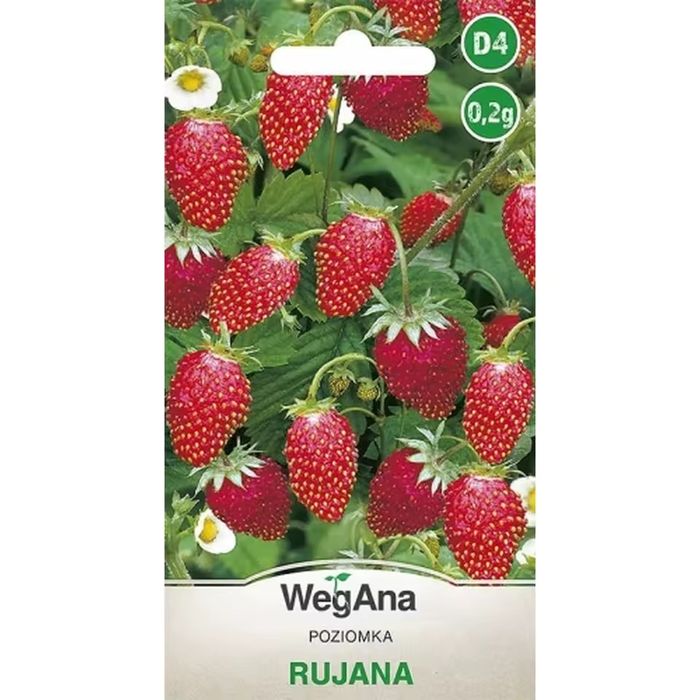 Семена от ягоди Руяна