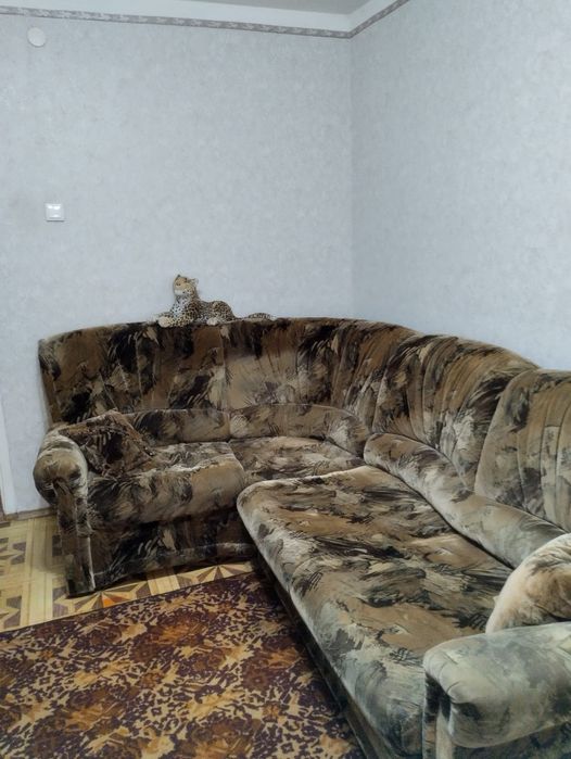 Отдам даром диван
