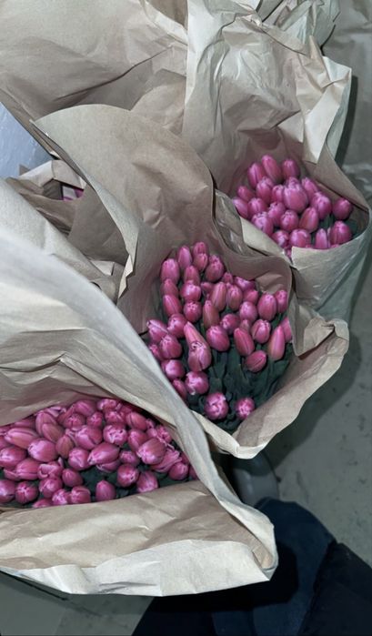 Свежие тюльпаны оптом и в розницу