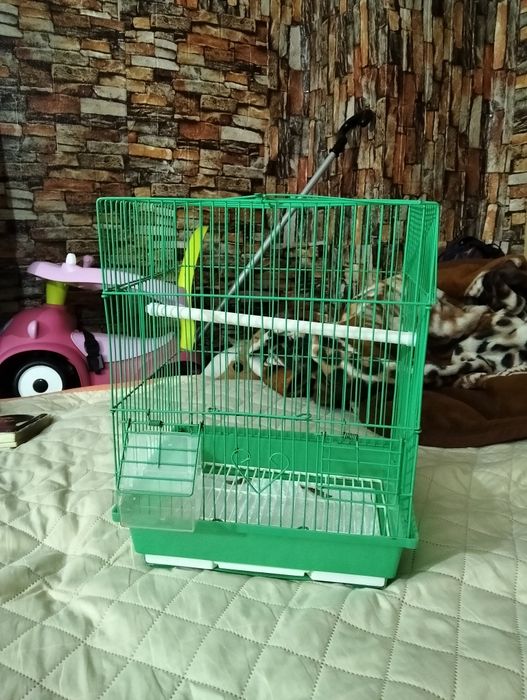 Vând colivie papagali