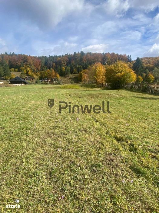 Teren intravilan 4.100 mp de vânzare | Voroneț | Zonă deosebită