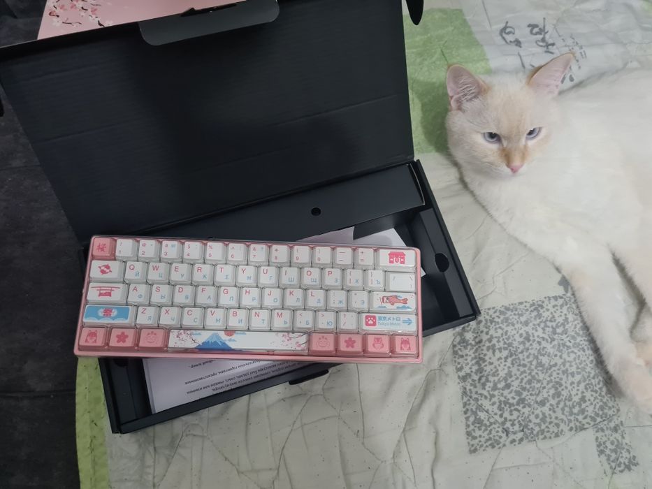 Механическая клавиатура