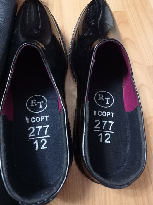 Мәсі   галошымен