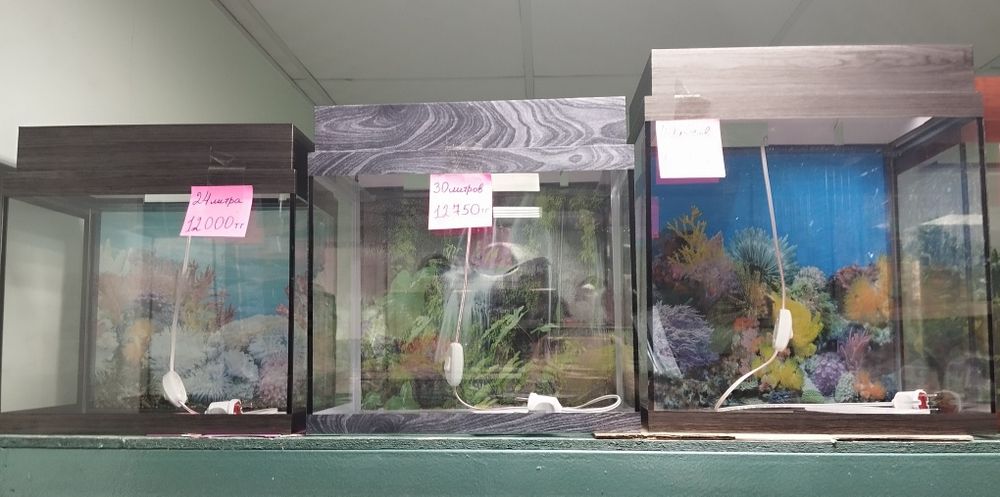 Аквариумы, фильтры, рыбки