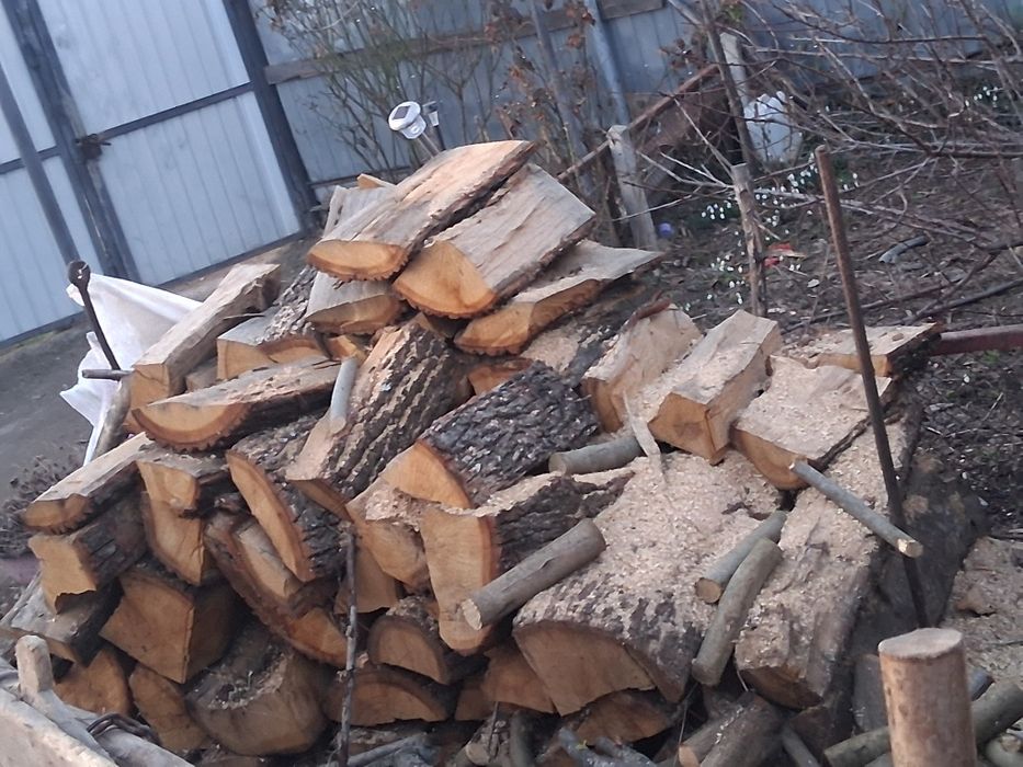 Vând lemne uscate și verzi