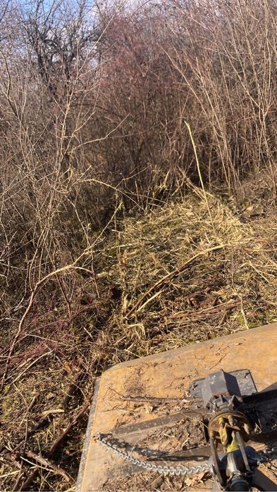 Defrisari terenuri, intretinere spatii verzi si demolari