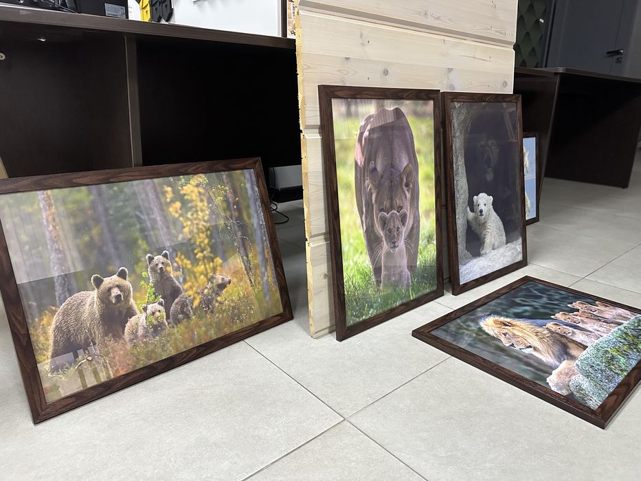 Картины (фото в рамках)