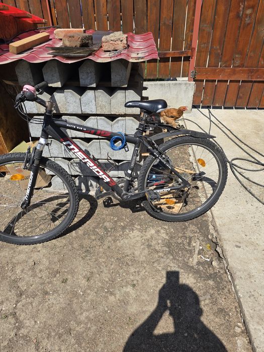 Vând bicicletele din poza