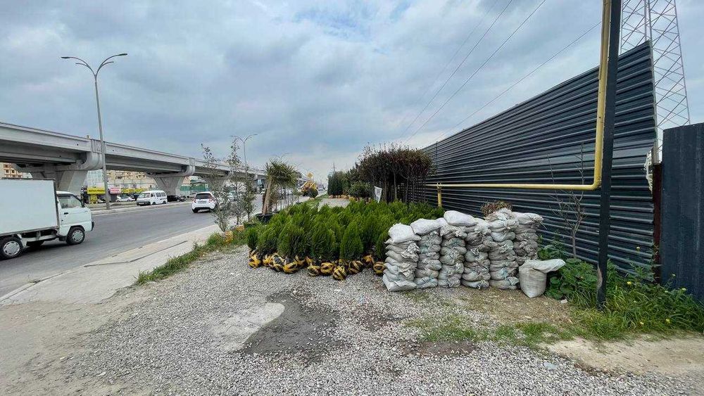Qoyliq 7 massivda 35 sotix betonka joy arendaga (katta yo‘l bo‘yida)