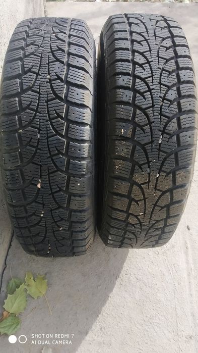 Qishki ballon diska damasga