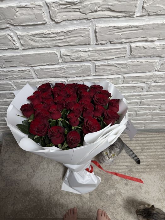 Розы красные Метровые
