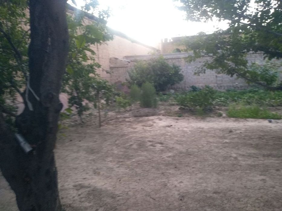 Quruq yer sotiladi Kirov olmazor 88-uy