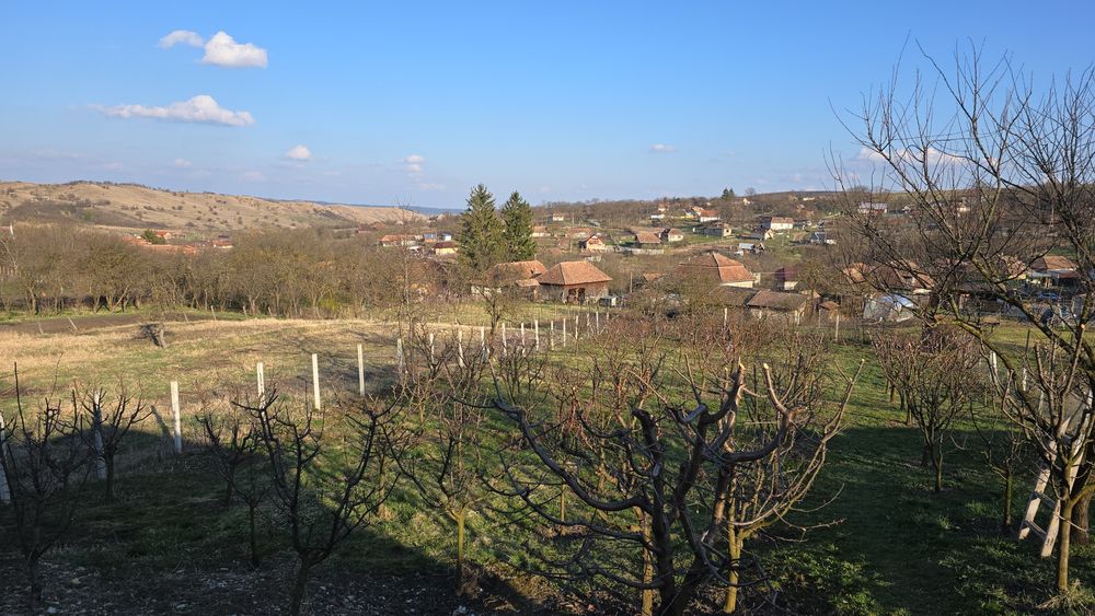 Vand livada 1500 mp