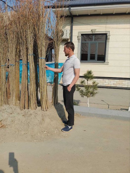 Кучат Тераг,Тут,Кайрагоч.