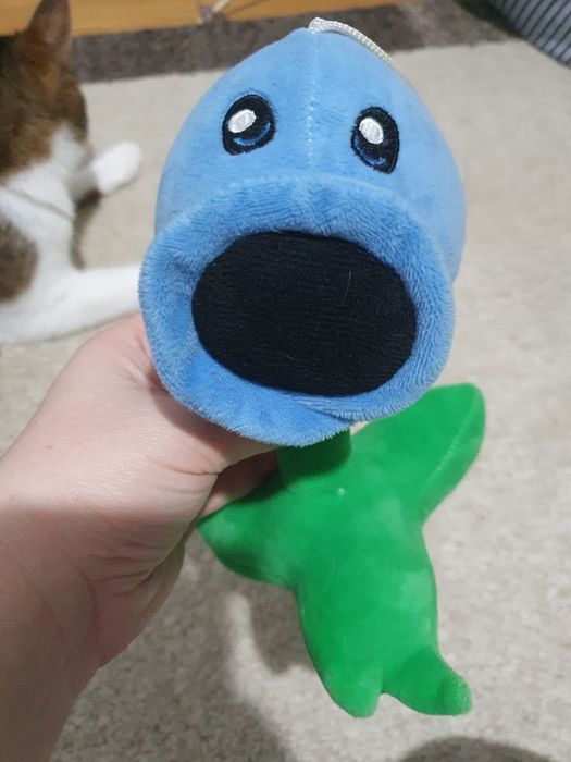 Plusuri plante în stare bună