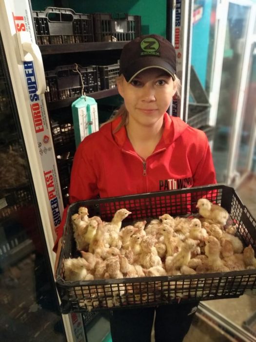 Инкубаторы на заказ.