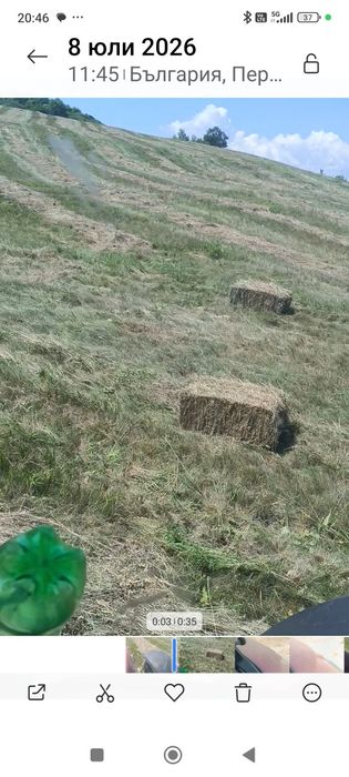 Бали диво експрезе