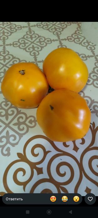 Продам помидоры жёлтые